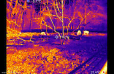 infiniray Thermalkamera für Smartphone und iPhone - Wärmebildkamera - Thermal P2 Pro im Test