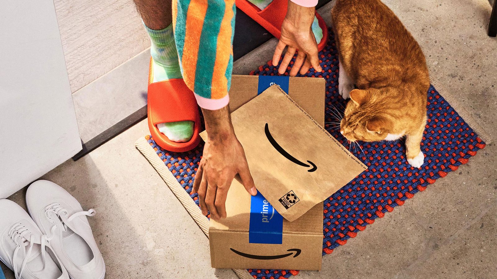 Amazon-Paket auspacken mit Katze