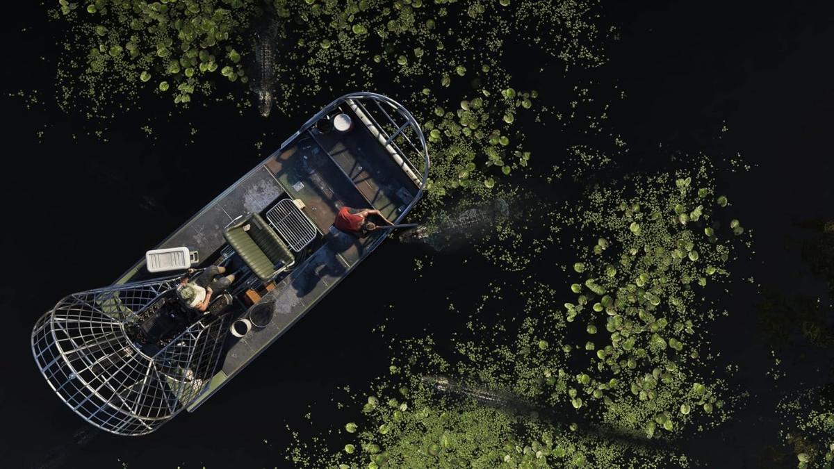Offizieller GTA-VI-Screenshot: Airboat fährt aus der Vogelperspektive durch eine grüne Sumpflandschaft
