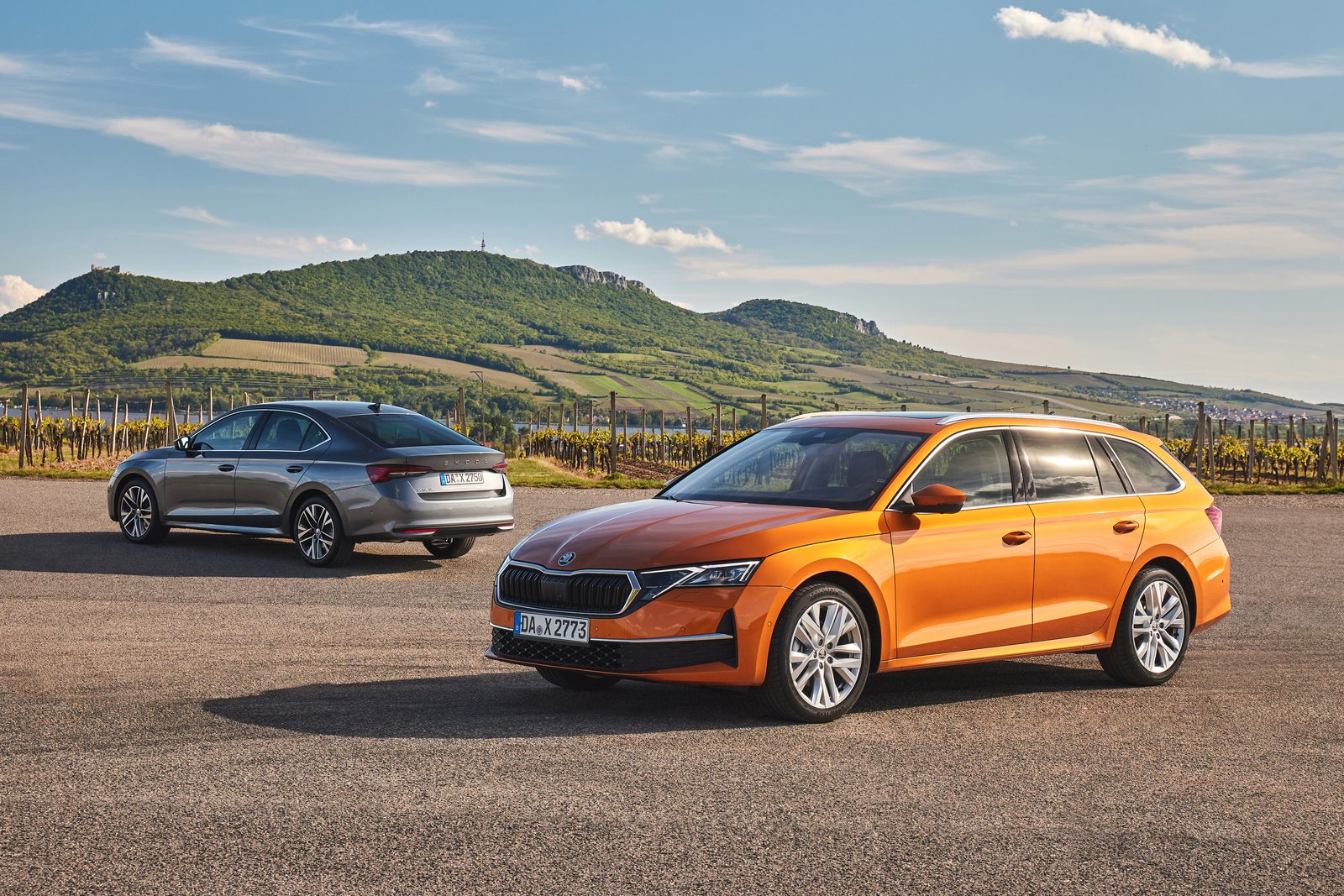 Orangefarbener Škoda Octavia Combi und grauer Octavia vor Weinbergen