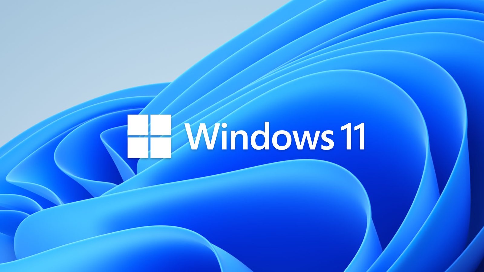 Microsoft Windows 11 Schriftzug und Logo vor dem blauen Bloom-Motiv